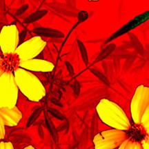 如何开通不翻车的ddos压力测试网页端