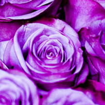 DDOS在线攻击平台